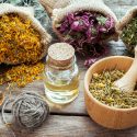 Regulatory Requirements For The Manufacture of Herbal Medicinal Products in Nigeria