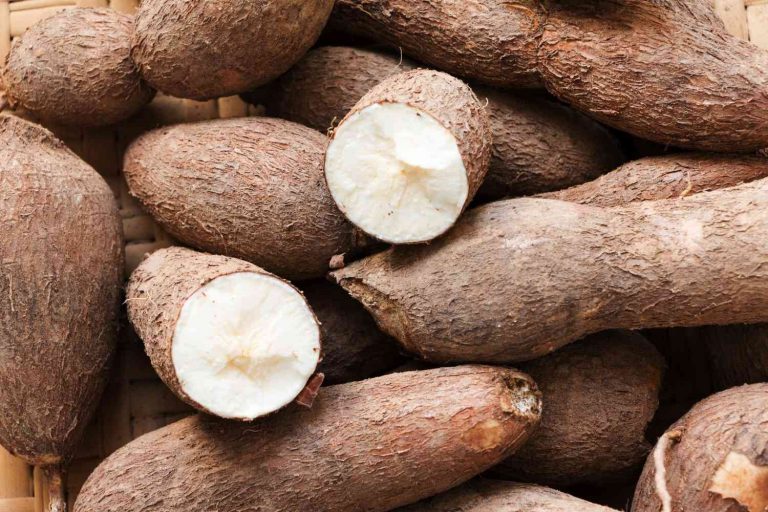 The Environmental Impacts of Cassava Production in Nigeria: How Researchers are Turning the Negatives into a Profitable Venture