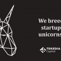 In Tekedia Capital deal room, we have ten startups to breed to the level of unicorns; JOIN