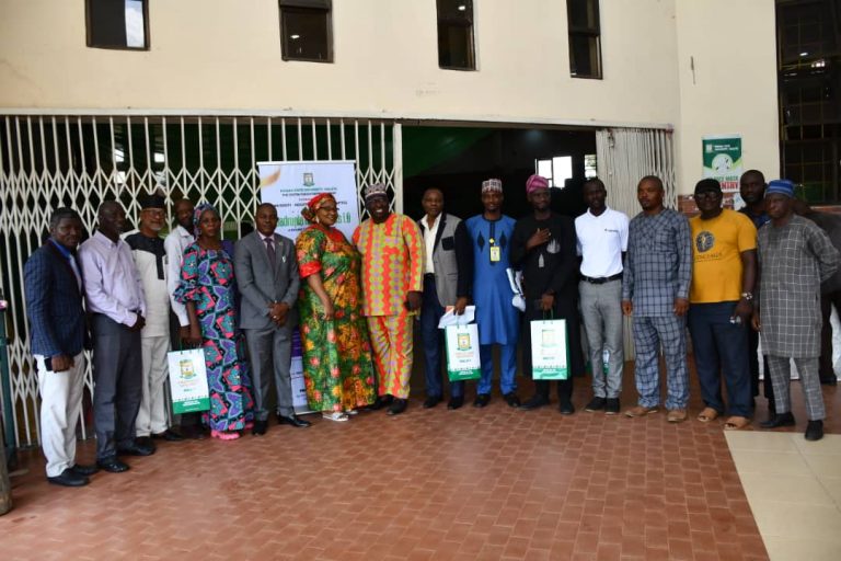 Blocking the Skills Gaps in Nigerian Universities: Will Doctors or Professors of Practice Model Work?