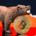 VanEck lays out themes defining this Crypto Bear Market