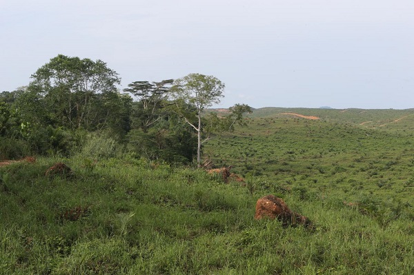 Alienation Of Customary Rights To Land, Sub-Underleases and The Surrender Of Statutory Rights Of Occupancy In Nigeria