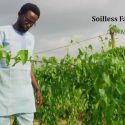 “Innovation in Agriculture – the Case of Soilless Farming” | Tekedia Mini-MBA