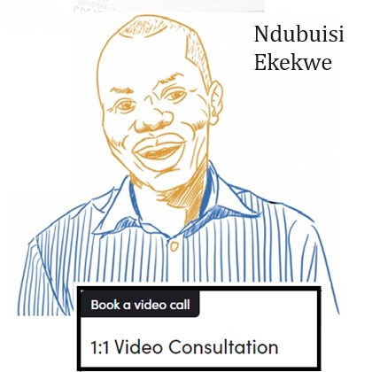 1:1 Video Consultation w/ Ndubuisi Ekekwe | $300 or N200,000