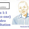 Tekedia Unveils a 1:1 (one-to-one) Live Video Consultation with Ndubuisi Ekekwe