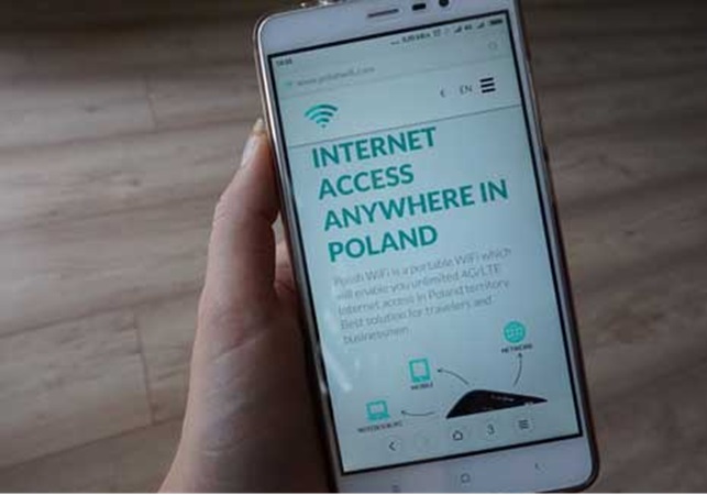 How Poles Make Money on the Internet