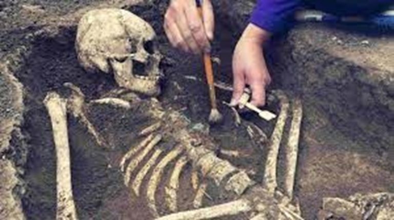 Scientists have found many ancient fossils within the Rift Valley that have shed light on the origin and evolution of humans