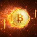 Bitcoin’s Dominance in the Cryptocurrency Market
