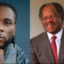 Burna Boy’s Powerful Message on BlackRock’s Bayo Ogunlesi: “As I dey hustle like Adebayor Ogunlesi…No go talk say me I too lazy”
