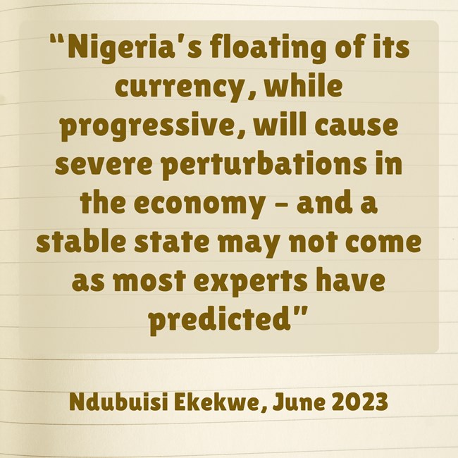 A Review of Forex Predictions After Months of Floating of the Naira