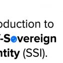 What is Self-Sovereign Identity?
