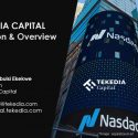 Tekedia Capital – Mission and Overview