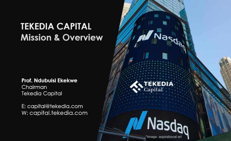 Tekedia Capital – Mission and Overview