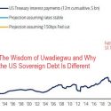 The Wisdom of Uwadiegwu and Why the US Sovereign Debt Is Different