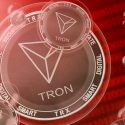 Top 3 Altcoins to Prepare for March 2024: TRON (TRX), Immutable (IMX) and KangaMoon (KANG)