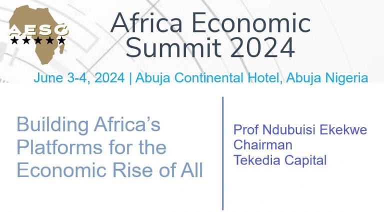 Join Ndubuisi Ekekwe at the 2024 Africa Economic Summit