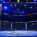 How to Bet on UFC 302 in Florida – FL Sports Betting Sites