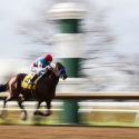 How to Bet on the Preakness Stakes in Texas: Best TX Sports Betting Sites