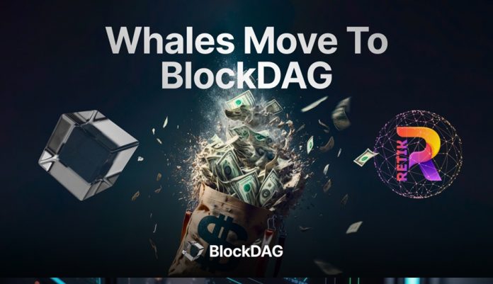 whales 10