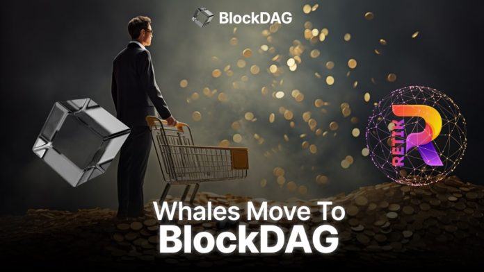 whales move