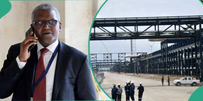 dangote steel