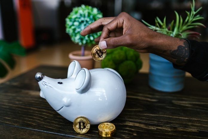 pigbank investing BTC