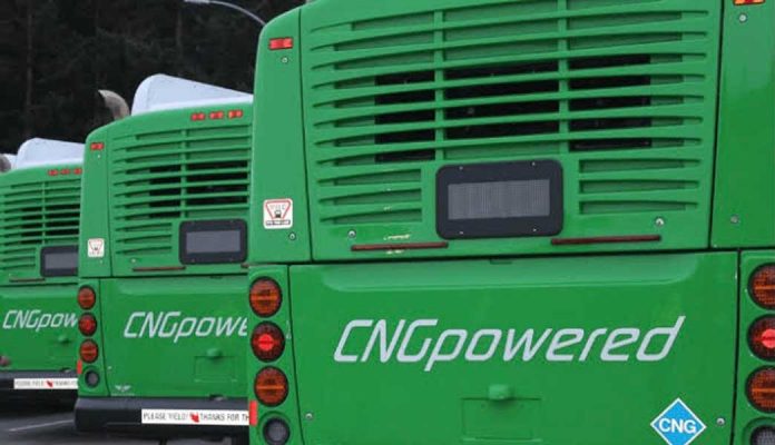 CNG bus