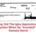 The Trump’s Igbo Apprenticeship System On $5,000 Donation To Kamala Harris
