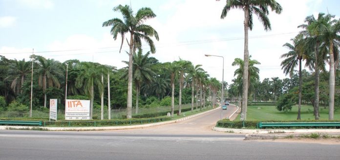 iita ibadan