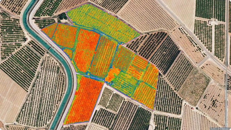 How Geospatial Data Services Enhance Mapping and GIS