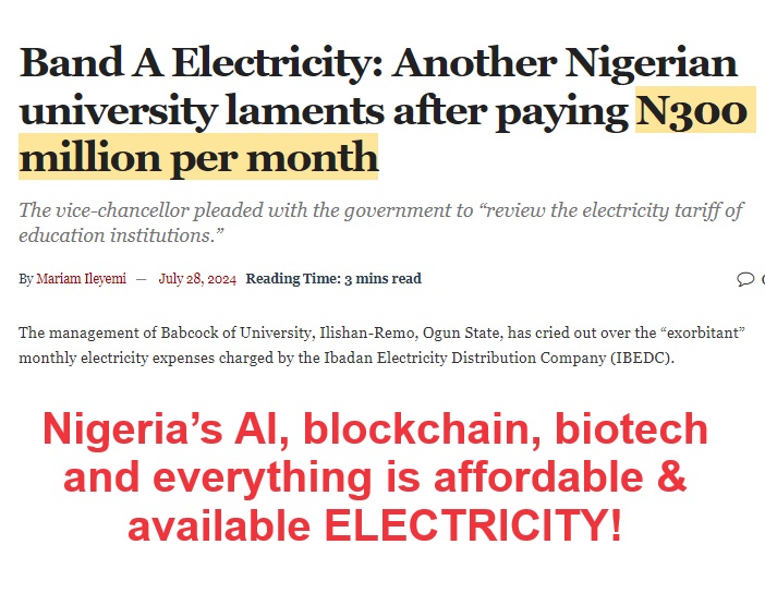 Nigeria’s Electricity Reform Could Destroy Our Industrial Producers