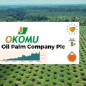 Okomu Oil Palm Plc Reports 58% Profit Growth in 2024, As Revenue Surged by 73.44%