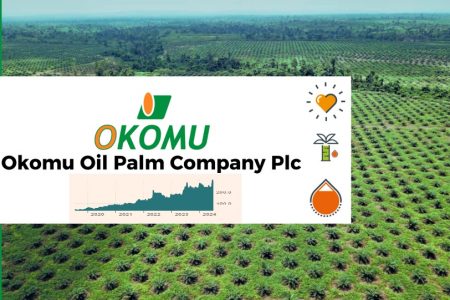 Okomu Oil Palm Company Plc Posts N87.3bn Pre-Tax Profit as Palm Oil Boom Lifts Earnings