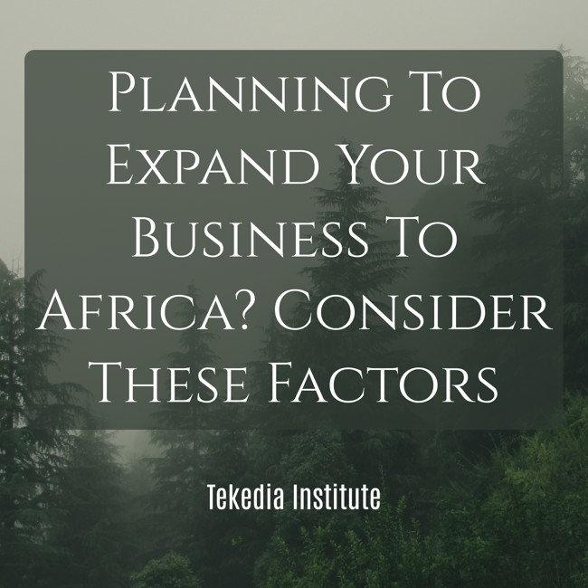 Planning To Expand Your Business To Africa? Consider These Factors