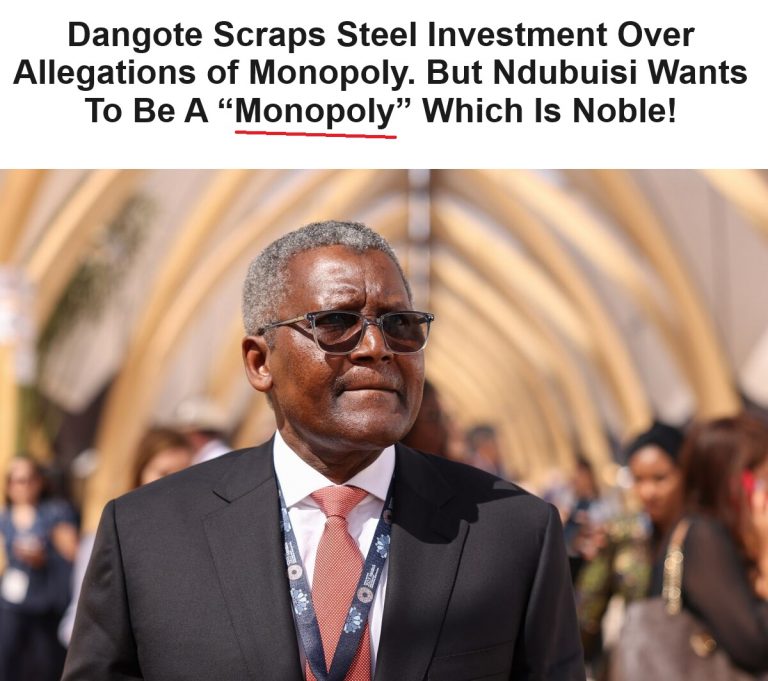 Dangote Scraps Steel Investment Over Allegations of Monopoly. But Ndubuisi Wants To Be A “Monopoly” Which Is Noble!
