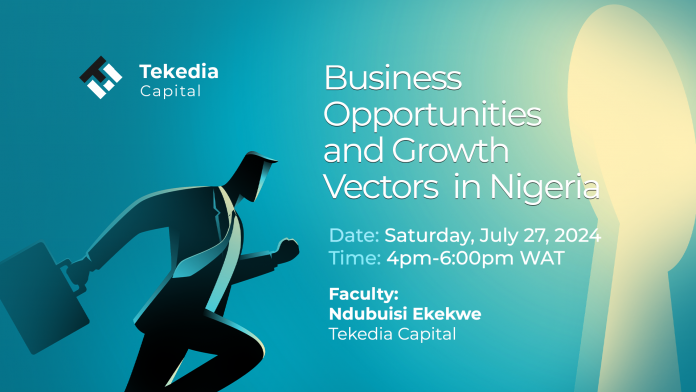 tekedia capital (1)