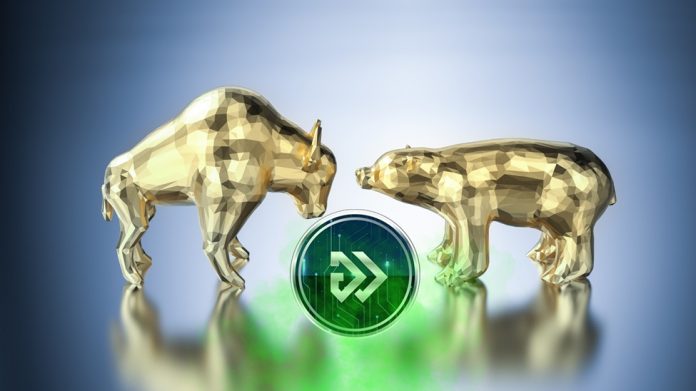 bulls