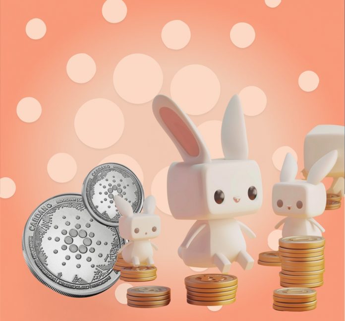 cardano