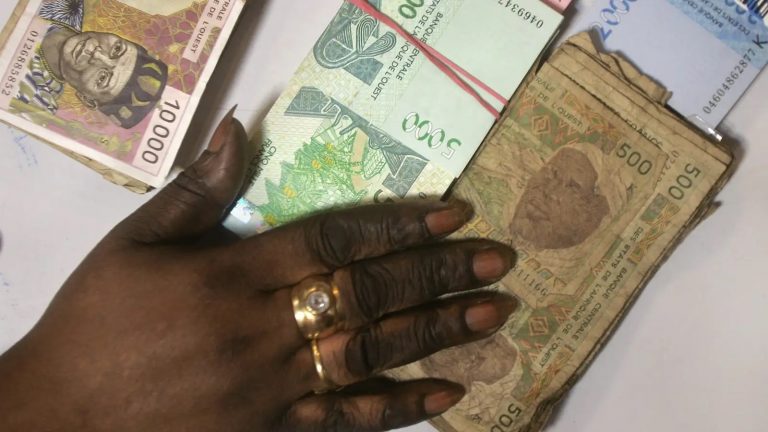 The Amazing Big Heart of ECOWAS On the Mali, Niger and Burkina Faso Matter