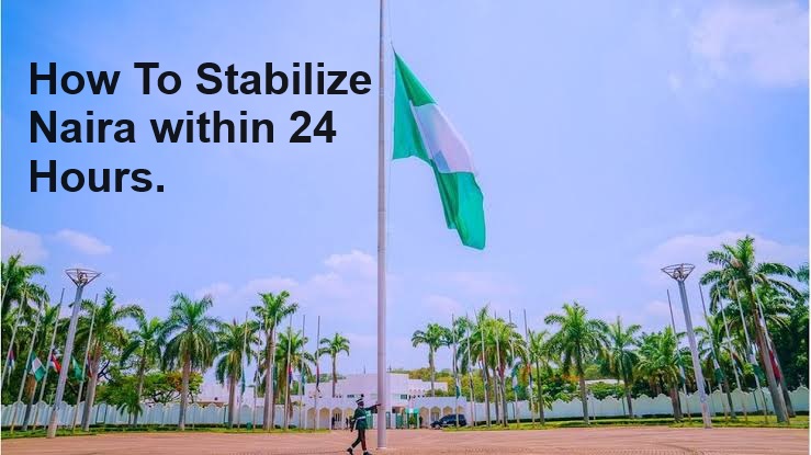 How To Stabilize Naira And Fix Investment Challenges in Nigeria within 24 Hours