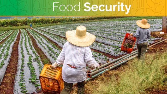 food security