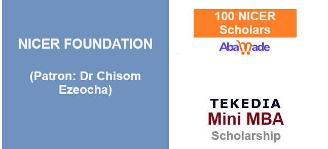 Nicer Foundation Makes Donations to Tekedia Institute