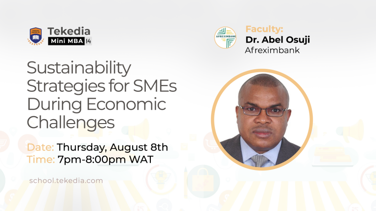Sustainability Strategies for SMEs During Economic Challenges | Tekedia Mini-MBA