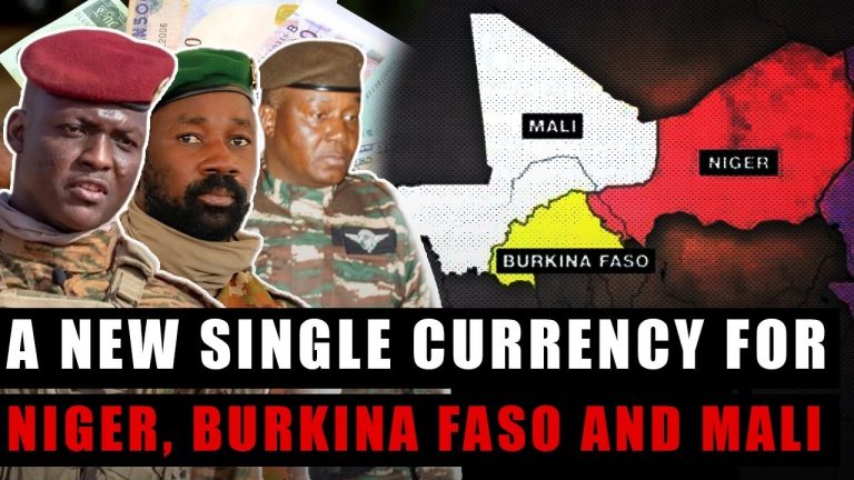 The Illusion of Single Currency and the Traps in Mali, Niger and Burkina Faso