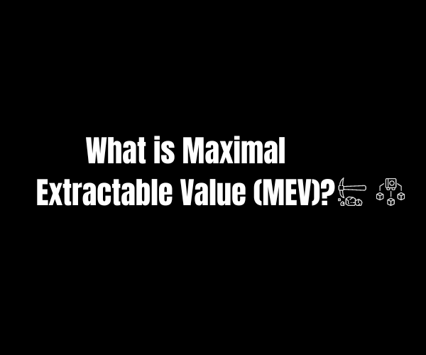 What is Maximal Extractable Value (MEV)?