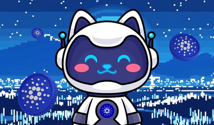 cardano