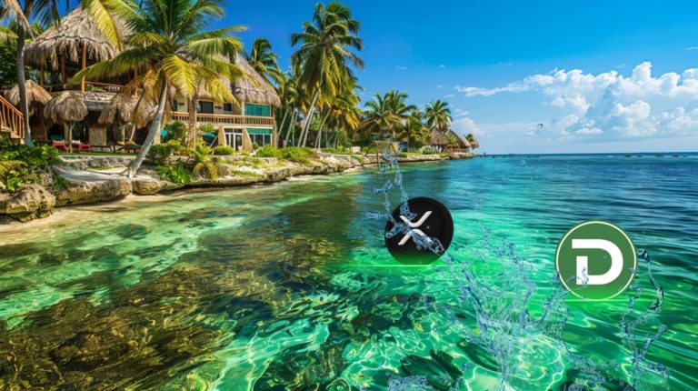 ‘CZ’ Released From Prison; Time to Bet on Binance Coin (BNB)? DTX Exchange (DTX) Gears Up to Dethrone Ripple (XRP) – Watch Out