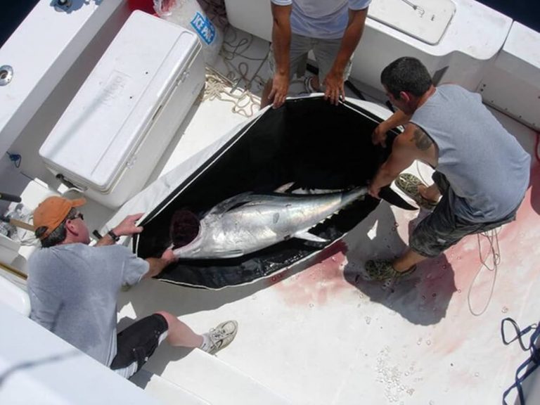 How to Choose the Best Fish Kill Bag for Your Next Fishing Adventure