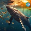 $0.03 FXGuys ($FXG) Token Promises Huge Trading Rewards, Drawing Ethereum And Solana Whales