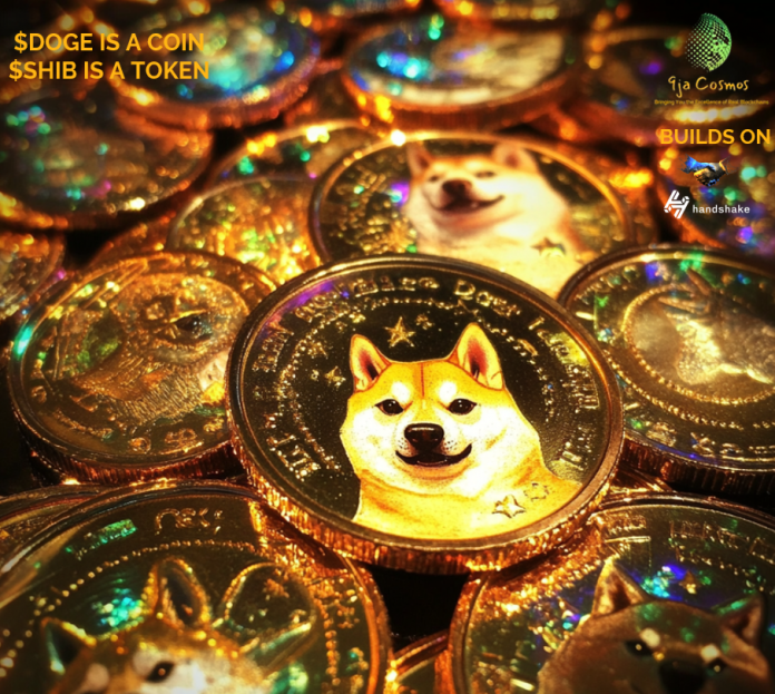 Doge v Shib 2024-11-03